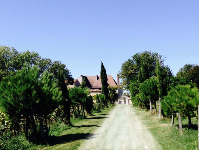 Chateau De Theon Hotel Cozes Exterior photo